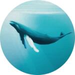 Komar nemszőtt fotótapéta Dot Whale Watching öntapadó átmérő 125 cm