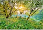 Komar fotótapéta Spring Lake 368 cm x 254 cm FSC