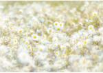 Komar fotótapéta Daisies 368 cm x 254 cm FSC