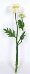  Művirág ördögszem krémszínű 50 cm (12-7173-15)
