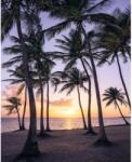 Komar vlies fotótapéta Palmtrees on Beach 200 cm x 250 cm