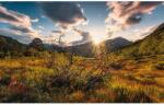 Komar Vlies fotótapéta Norwegische Herbstwelten 450 cm x 280 cm