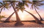 Komar vlies fotótapéta Reaching the Sun 400 cm x 250 cm