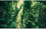 Komar Vlies fotótapéta Green Leaves 450 cm x 280 cm