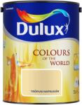 Dulux A Nagyvilág Színei beltéri falfesték Ceylon Trópusi napsugár matt 5 l (5273614)
