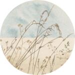 Komar nemszőtt fotótapéta Dot Gazon öntapadó átmérő 125 cm