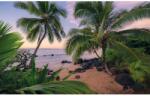 Komar Vlies fotótapéta Hawaiian Dreams 450 cm x 280 cm