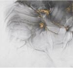 Komar vlies fotótapéta Ink Gold Flow 300 cm x 280 cm
