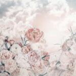 Komar vlies fotótapéta Blossom Clouds 250 cm x 250 cm