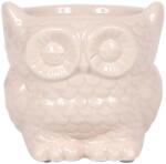  Owl kerámiakaspó 6 cm x 5 cm Krémfehér