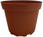  Merevfalú ültetőcserép 10, 5 cm-es