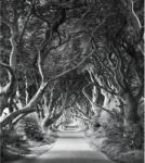 Komar Vlies fotótapéta Forevenue 250 cm x 280 cm