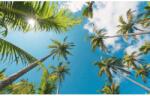 Komar Vlies fotótapéta Coconut Heaven II 450 cm x 280 cm
