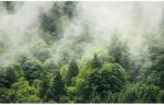 Komar vlies fotótapéta Forest Land 400 cm x 250 cm - obi - 87 990 Ft