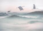 Komar vlies fotótapéta Mystic Cranes 400 cm x 280 cm
