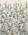 Komar vlies fotótapéta Flowering Herbs 200 cm x 250 cm