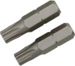 LUX-TOOLS Classic standard bit TX30 2 darab (303207)