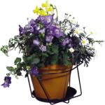 OBI Living Garden OBI fali cseréptartó antracit 20 cm (325318)
