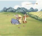Komar nemszőtt fotótapéta Disney Winnie the Pooh Adventure színes