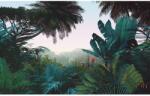 Komar vlies fotótapéta Jungle Morning 400 cm x 250 cm