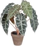 MICA Decorations alokázia művirág Stan cserépben 36 cm x 44 cm zöld