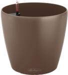 Lechuza Classico Color 35 kaspó szerecsendió 35 cm átmérő