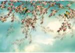 Komar fotótapéta Sakura 368 cm x 254 cm