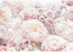 Komar fotótapéta Spring Roses 368 cm x 254 cm