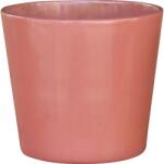  Cotto kaspó 14 cm x 12, 5 cm