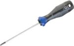 LUX-TOOLS Professional csavarhúzó TX10 x 100 mm