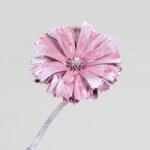  Protea Repens Erica Frosted dekor növény Piros