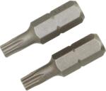 LUX-TOOLS Classic standard bit TX20 2 darab (303205)