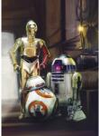 Komar fotótapéta STAR WARS Three Droids 184 cm x 254 cm FSC