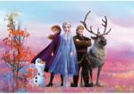 Komar fotótapéta Frozen Iconic 368 cm x 254 cm