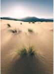 Komar Vlies fotótapéta Vivid Dunes 200 cm x 280 cm