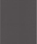  Rasch Tapetenwechsel II 506785 fátyoltapéta fényes antracit 10, 05 m x 0, 53 m
