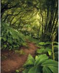 Komar vlies fotótapéta The Path 200 cm x 250 cm