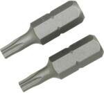 LUX-TOOLS LUX Classic standard bit TX15 2 darab (303204)