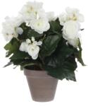 Mica Decorations Műnövény begónia fehér cserépátmérő 11, 5 cm magasság 30 cm átmérő 25 cm (977508)