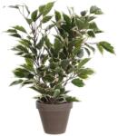 Mica Decorations műnövény fikusz Natasja cserépben 40 cm x 30 cm (930306)