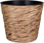  A. H. G. Sticking Roll kaspó vízijácinttal 16 cm x 14 cm natúr