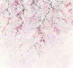 Komar vlies fotótapéta Kirschblüten 300 cm x 280 cm