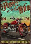 Retro-Gift kis táblakép Born to be Wild 17 cm x 12, 5 cm