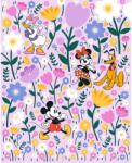 Komar nemszőtt fotótapéta Disney Mickey és Minnie Mouse Botanical Spring színes