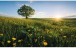 Komar Vlies fotótapéta Frühling auf dem Land 450 cm x 280 cm