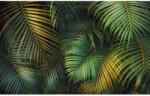 Komar Amazon Fern fátyoltapéta 400 cm x 250 cm