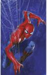 Komar nemszőtt fotótapéta Marvel Spider-Man Spider Web kék-piros