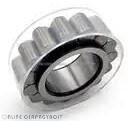 NEU F-237005. RNN NEU Csapágy (F-237005RNNNEU)