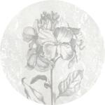 Komar vlies fotótapéta Barock Beauty öntapadós 125 cm