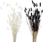 Boltze dekorág 2-féle változatban fehér-fekete